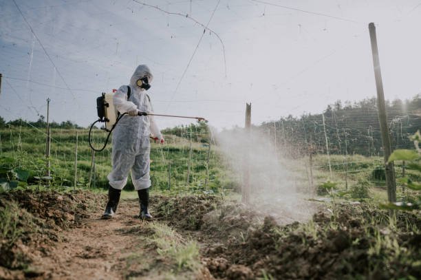 Best Ant Control Services  in Booker, TX