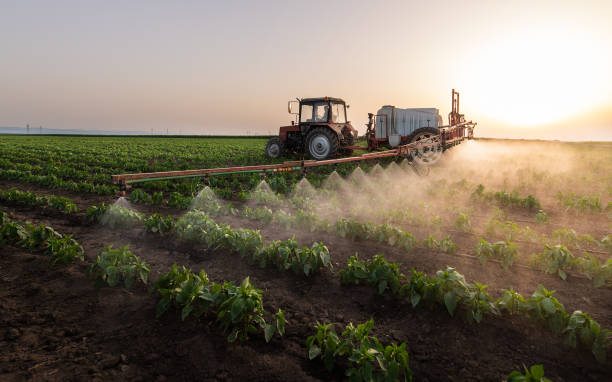 Best Pest Removal Services  in Booker, TX