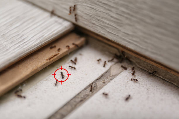 Best Exterminator Services  in Booker, TX