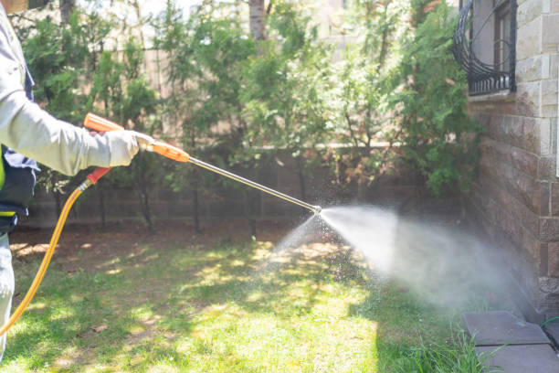 Best Flea Control Services  in Booker, TX