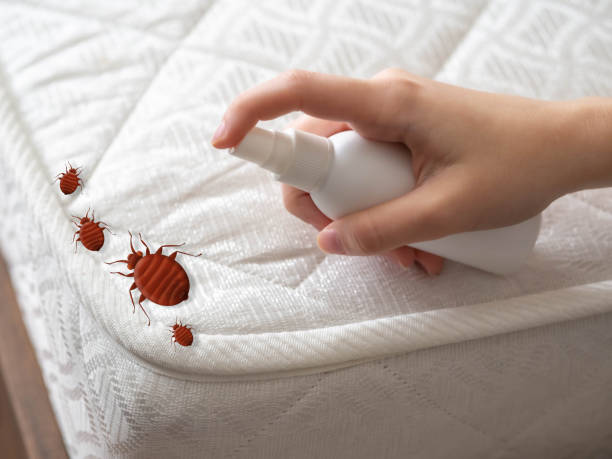 Best Residential Pest Control  in Booker, TX