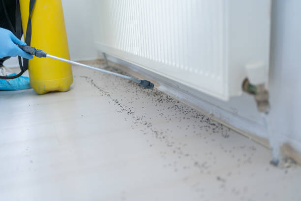Best Affordable Pest Control Services  in Booker, TX